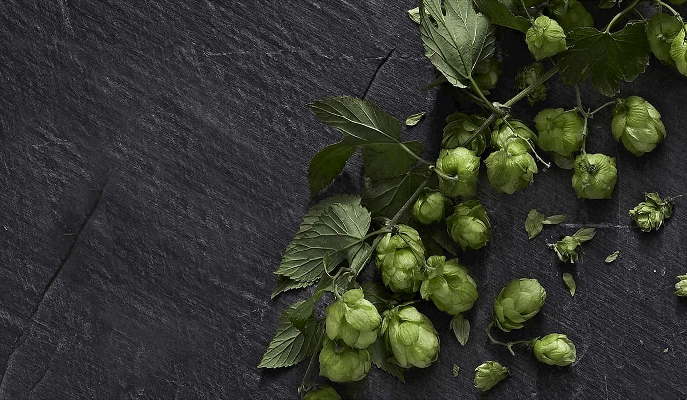 Carlsberg yeast lying on a table